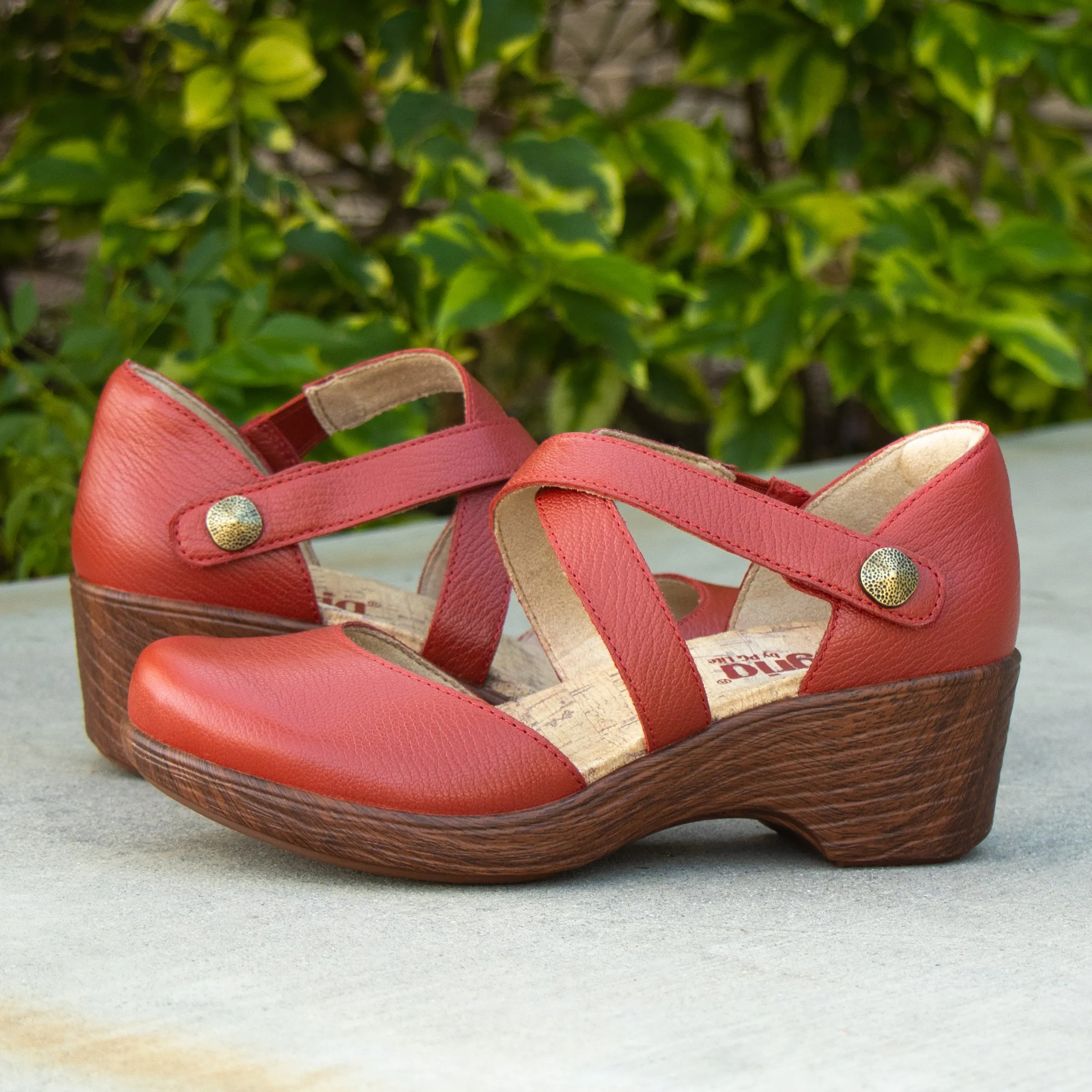 Savina Garnet Shoe