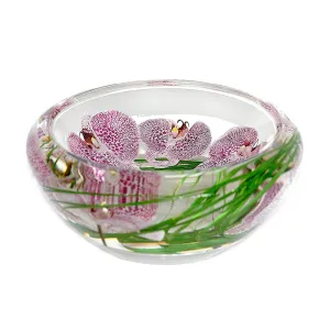 Spotted Phalaenopsis Flower Bowl